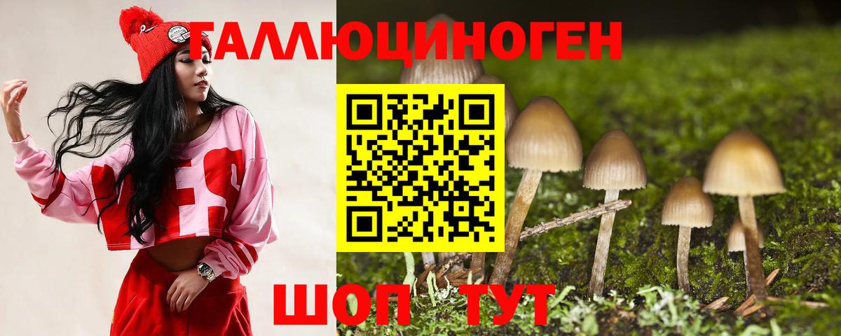 Псилоцибиновые грибы прущие грибы Заинск