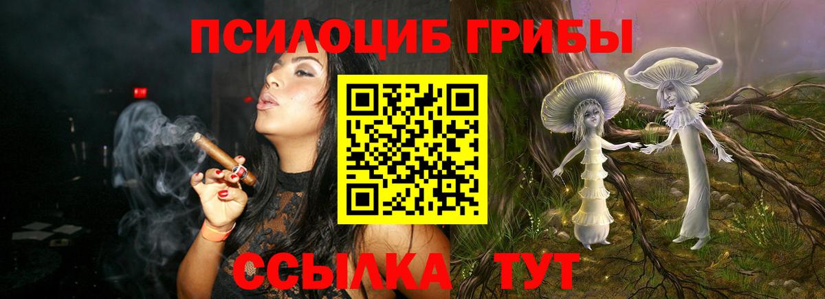 Галлюциногенные грибы ЛСД  Вход с VPN  Галлюциногенные грибы ЛСД  закладка  Заинск 
